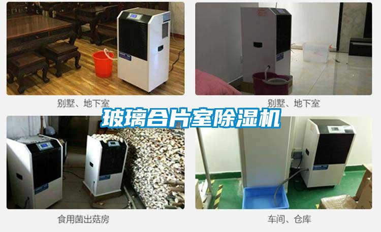 玻璃合片室除湿机