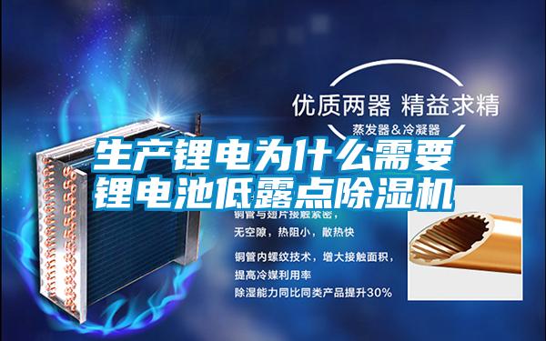 生产锂电为什么需要锂电池低露点除湿机