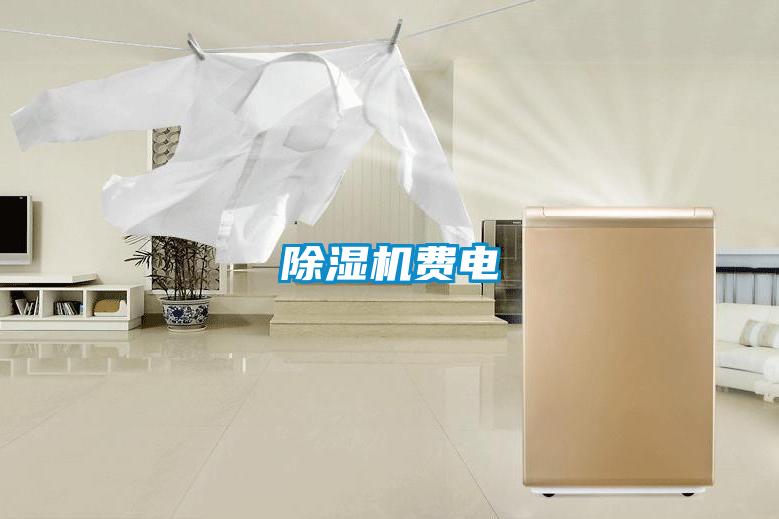 除湿机费电