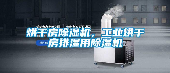 烘干房除湿机，工业烘干房排湿用除湿机