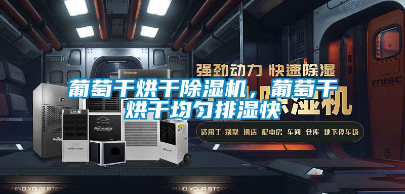 葡萄干烘干除湿机，葡萄干烘干均匀排湿快