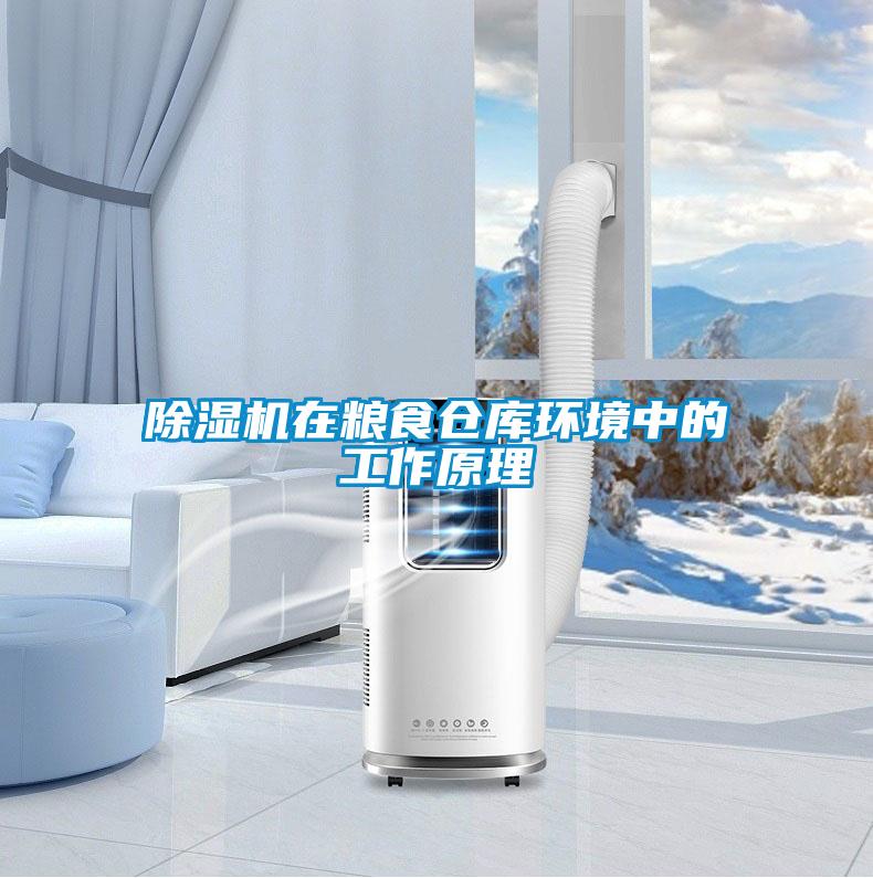 除湿机在粮食仓库环境中的工作原理