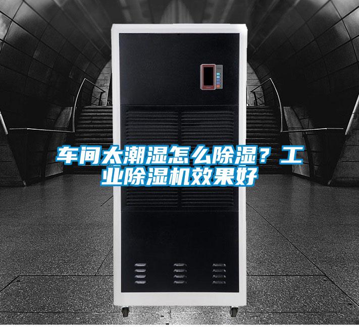 车间太潮湿怎么除湿?工业除湿机效果好