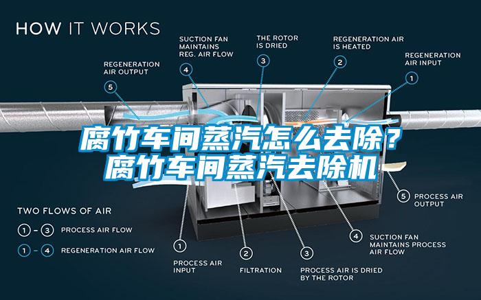 腐竹车间蒸汽怎么去除？腐竹车间蒸汽去除机