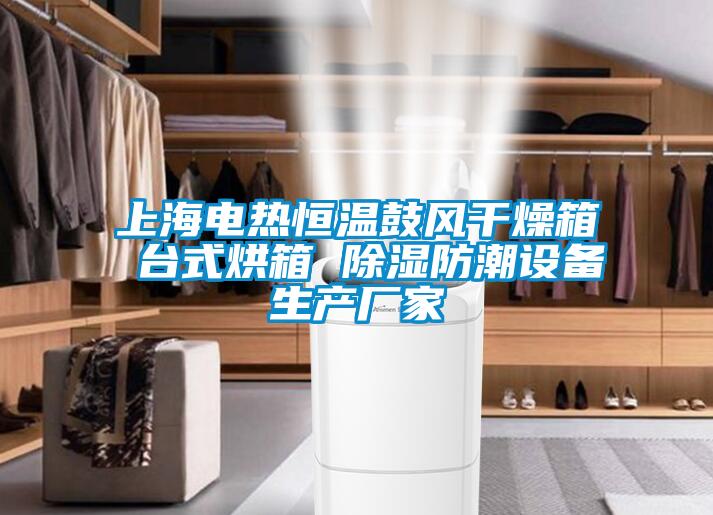 上海电热恒温鼓风干燥箱 台式烘箱 除湿防潮设备生产厂家