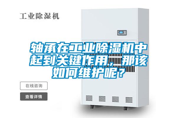 轴承在工业除湿机中起到关键作用，那该如何维护呢？