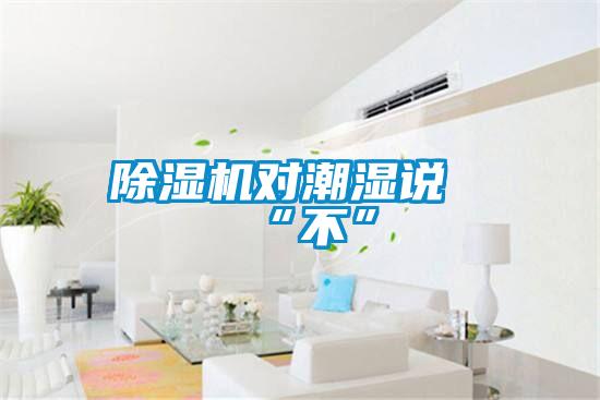 除湿机对潮湿说“不”