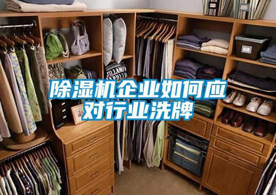 除湿机企业如何应对行业洗牌