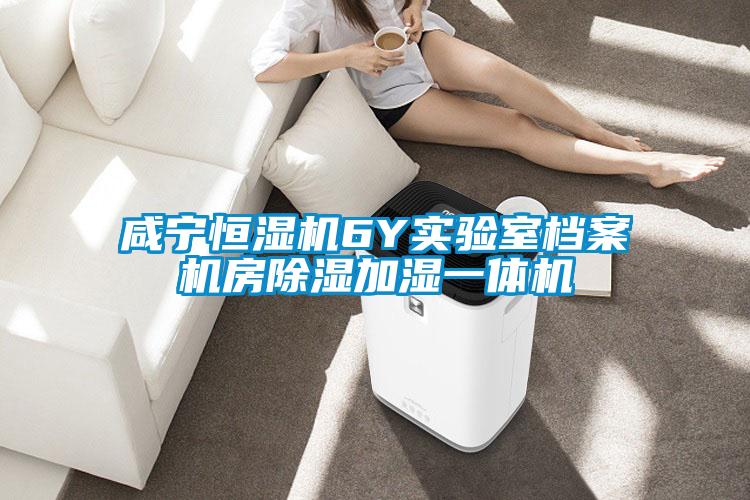 咸宁恒湿机6Y实验室档案机房除湿加湿一体机