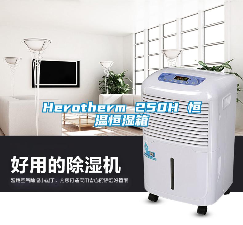 Herotherm 250H 恒温恒湿箱