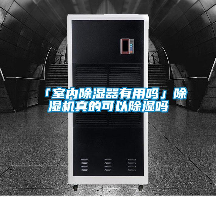 「室内除湿器有用吗」除湿机真的可以除湿吗