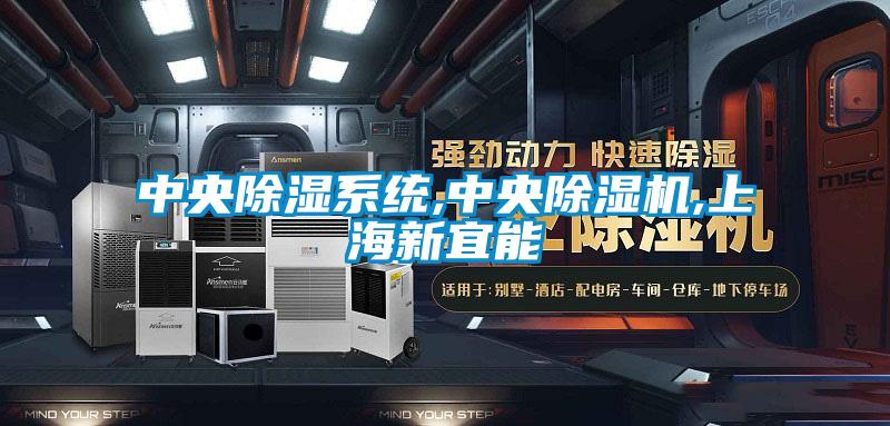 中央除湿系统,中央除湿机,上海新宜能
