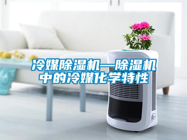 冷媒除湿机—除湿机中的冷媒化学特性
