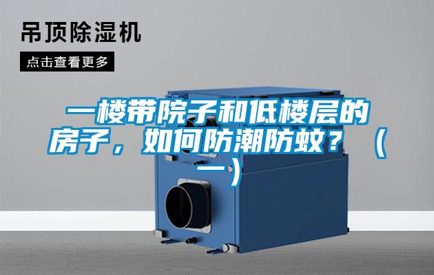 一楼带院子和低楼层的房子，如何防潮防蚊？（一）