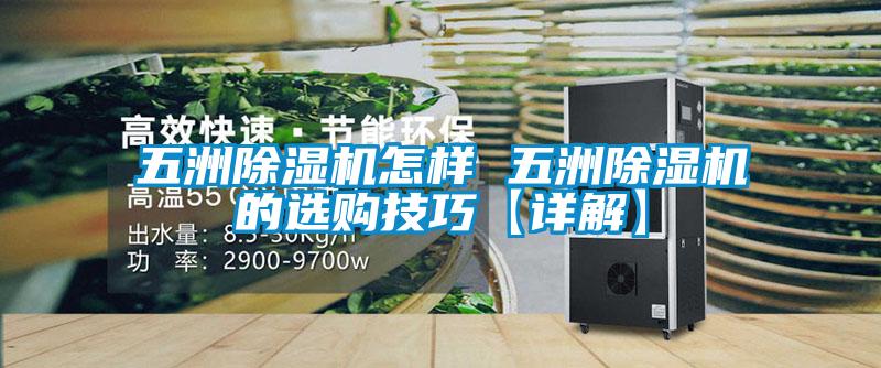 五洲除湿机怎样 五洲除湿机的选购技巧【详解】