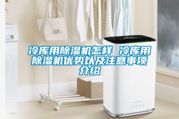 冷库用除湿机怎样 冷库用除湿机优势以及注意事项介绍