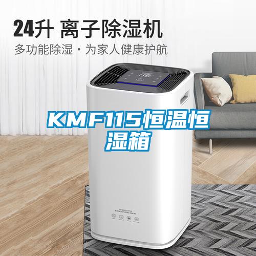 KMF115恒温恒湿箱