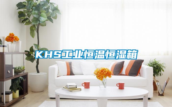 KHS工业恒温恒湿箱