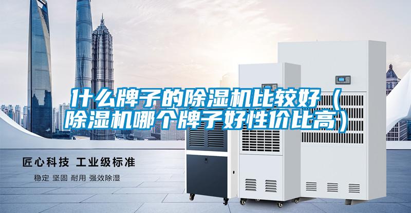 什么牌子的除湿机比较好（除湿机哪个牌子好性价比高）