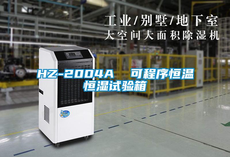 HZ-2004A  可程序恒温恒湿试验箱