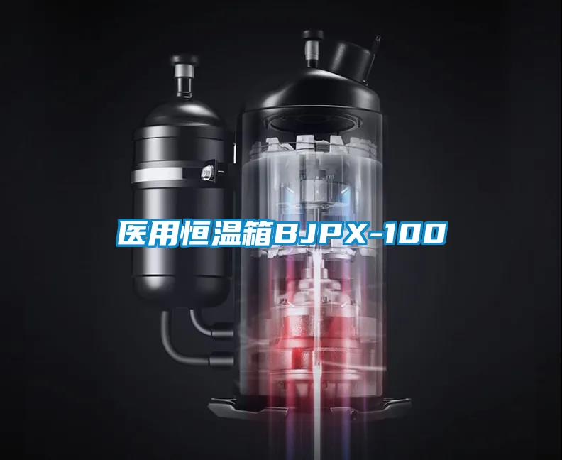 医用恒温箱BJPX-100