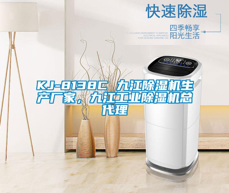KJ-8138C 九江除湿机生产厂家，九江工业除湿机总代理