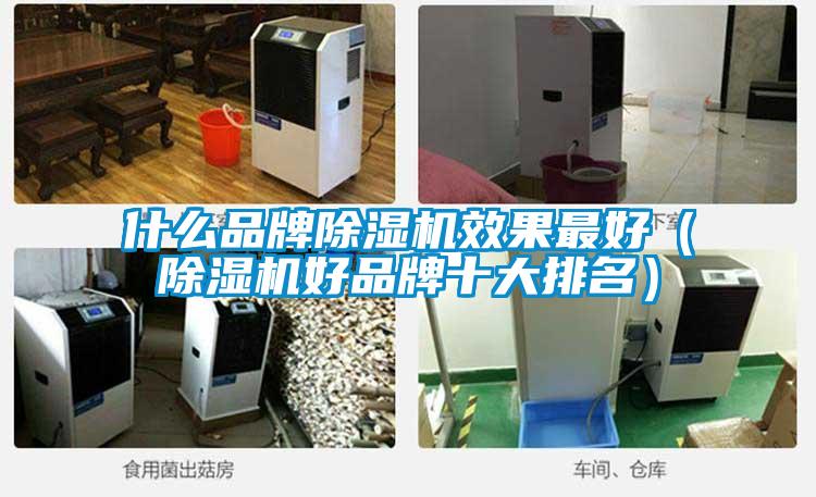 什么品牌除湿机效果最好（除湿机好品牌十大排名）