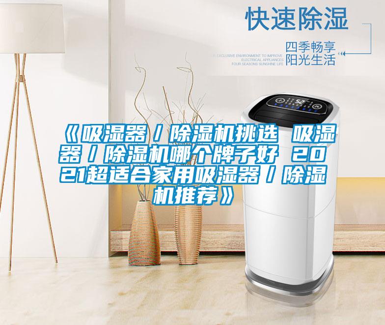 《吸湿器/除湿机挑选 吸湿器/除湿机哪个牌子好 2021超适合家用吸湿器/除湿机推荐》