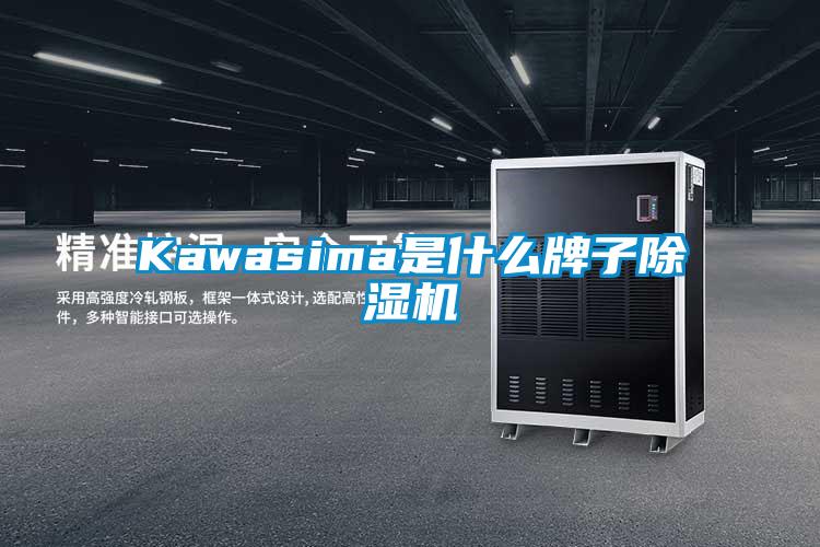 Kawasima是什么牌子除湿机