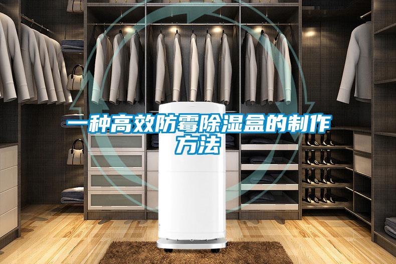 一种高效防霉除湿盒的制作方法