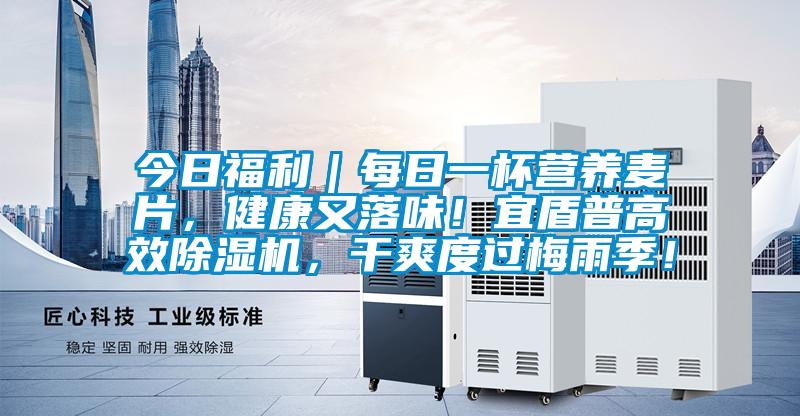 今日福利|每日一杯营养麦片,健康又落味!宜盾普高效除湿机,干爽度过梅雨季!