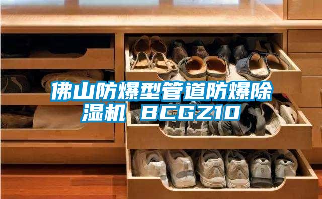 佛山防爆型管道防爆除湿机 BCGZ10