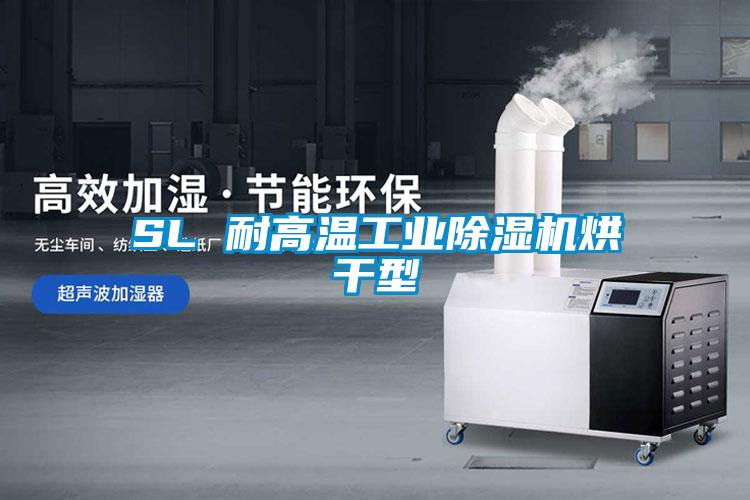 SL 耐高温工业除湿机烘干型