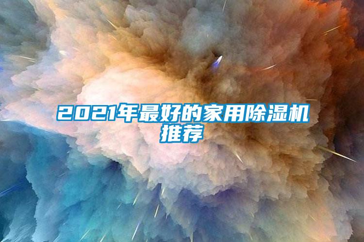 2021年最好的家用除湿机推荐