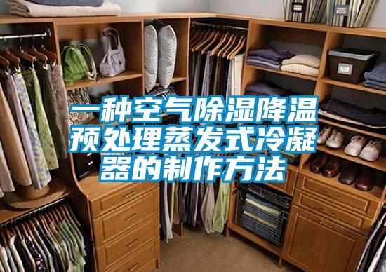一种空气除湿降温预处理蒸发式冷凝器的制作方法