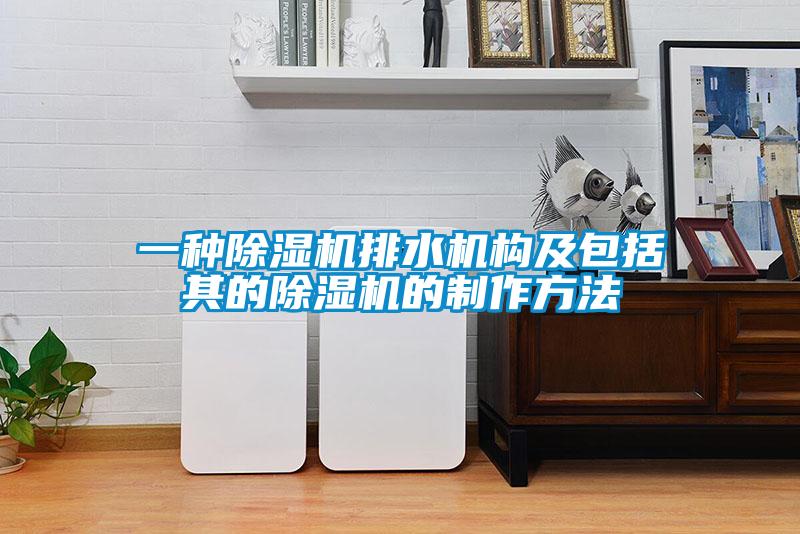 一种除湿机排水机构及包括其的除湿机的制作方法