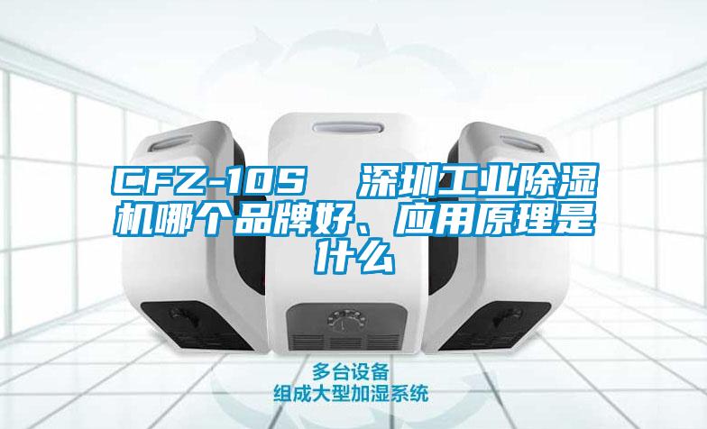 CFZ-10S  深圳工业除湿机哪个品牌好、应用原理是什么