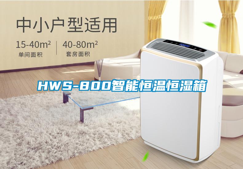 HWS-800智能恒温恒湿箱