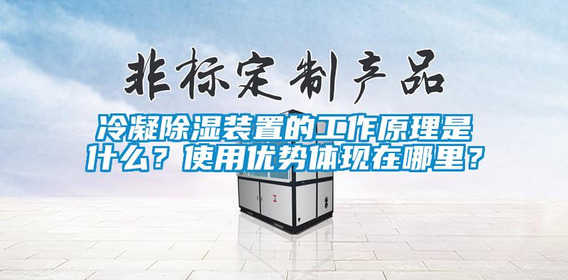 冷凝除湿装置的工作原理是什么？使用优势体现在哪里？