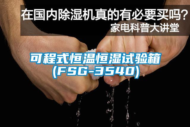 可程式恒温恒湿试验箱(FSG-3540)