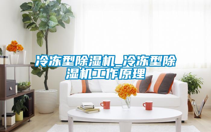 冷冻型除湿机_冷冻型除湿机工作原理