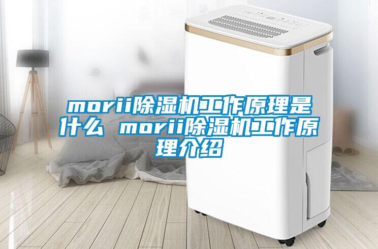morii除湿机工作原理是什么 morii除湿机工作原理介绍