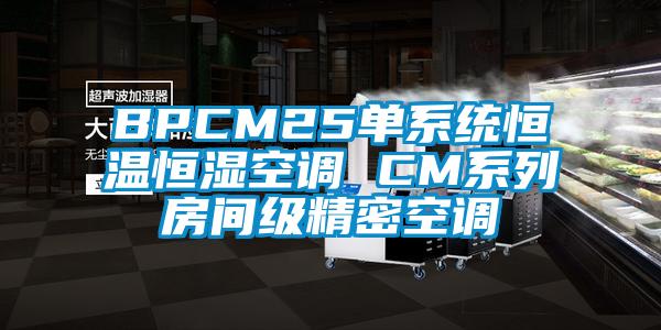 BPCM25单系统恒温恒湿空调 CM系列房间级精密空调