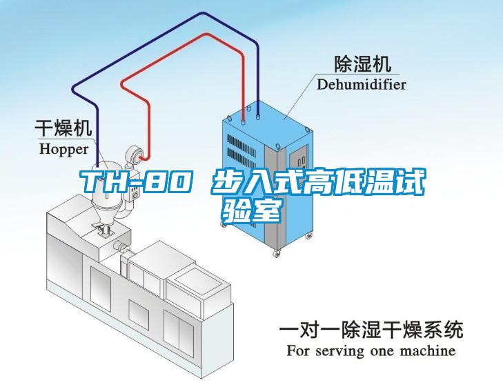 TH-80 步入式高低温试验室