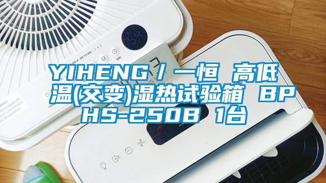 YIHENG／一恒 高低温(交变)湿热试验箱 BPHS-250B 1台