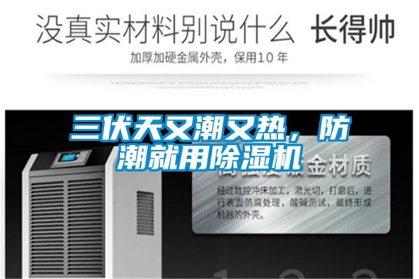 三伏天又潮又热，防潮就用除湿机