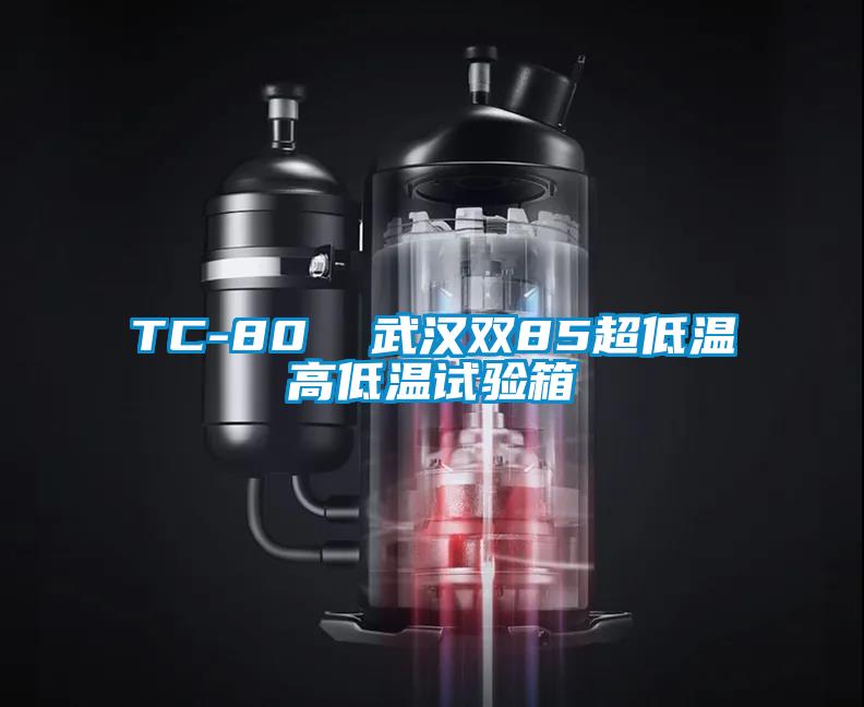 TC-80  武汉双85超低温高低温试验箱