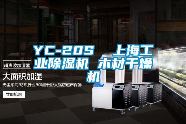 YC-20S 上海工业除湿机 木材干燥机
