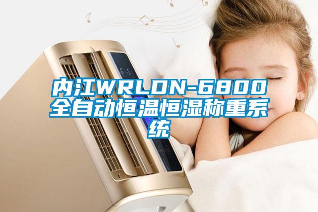 内江WRLDN-6800全自动恒温恒湿称重系统