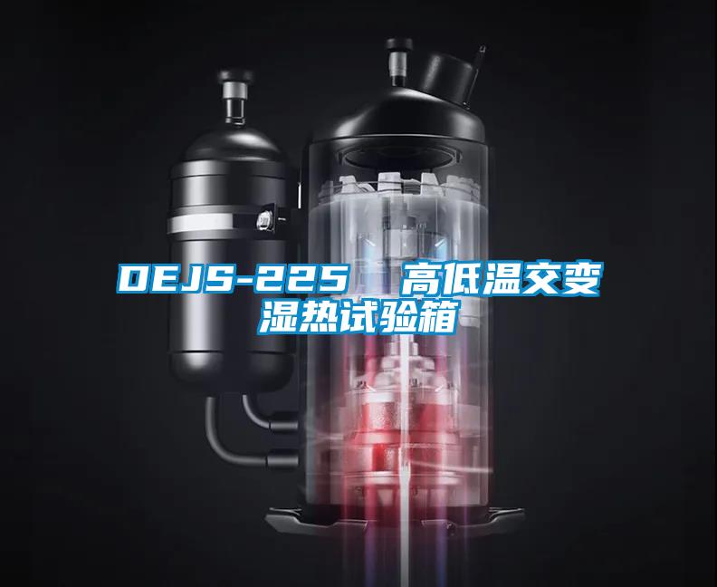 DEJS-225  高低温交变湿热试验箱